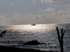 Hotels in Arhavi